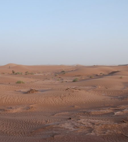 dunes-du-sahara_6988833002_o