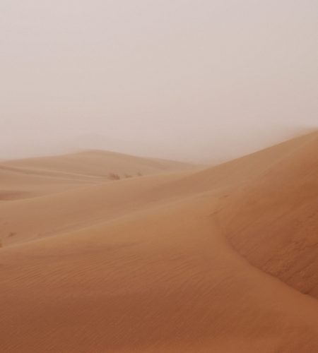 dunes-du-sahara_7134916947_o