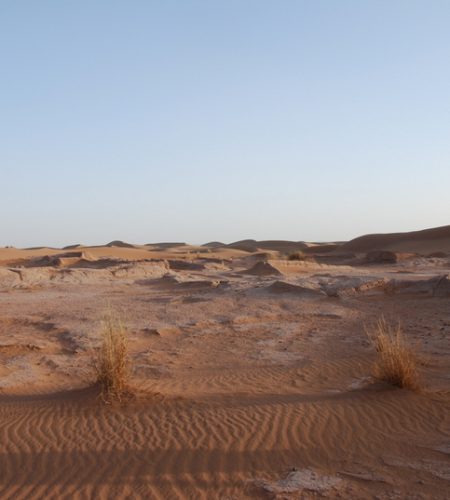 vestiges-perdus-dans-les-dunes-du-sahara_7134916423_o